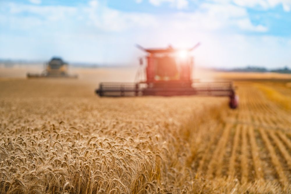 Should you Stay Invested in this American Agri Business – BG